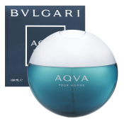 Bvlgari AQVA Pour Homme toaletná voda pre mužov 100 ml