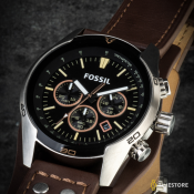 Fossil Coachman