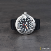 Citizen Promaster