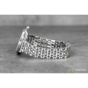 Emporio Armani Classic