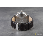 Zeppelin 100 Years Zeppelin