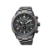 Citizen Promaster