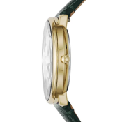 Fossil Prismatic Galaxy