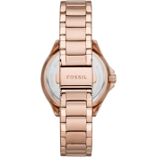 Fossil Sadie