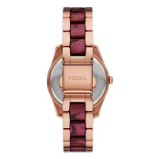Fossil Scarlette