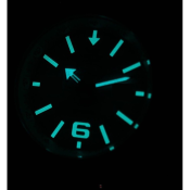 Vostok Europe Expedition North Pole 1