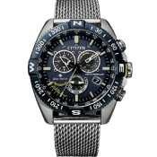 Citizen Promaster