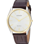 Citizen Stiletto