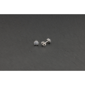 Náušnice Pandora Moments