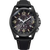 Citizen Promaster Sky