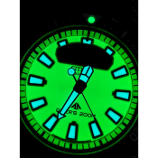 Citizen Promaster Aqualand