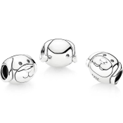 Korálik Pandora Moments