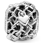 Korálik Pandora Moments