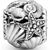 Abalorio Pandora Moments