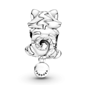 Koralda Pandora Moments