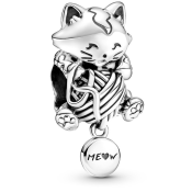 Korálik Pandora Moments