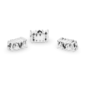 Korálik Pandora Moments