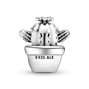 Korálik Pandora Moments