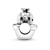 Korálik Pandora Moments