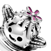 Korálik Pandora Moments