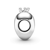 Charms Pandora Moments