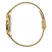 Timex City Collection