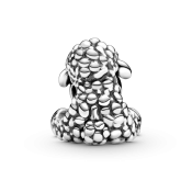 Korálik Pandora Moments