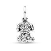 Obesek Pandora Moments