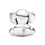 Korálik Pandora Moments