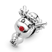 Korálik Pandora Moments