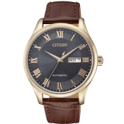Citizen Automatic
