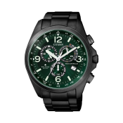 Citizen Promaster