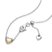 Ogrlica Pandora Moments