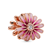 Charm Pandora Moments