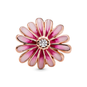 Charm Pandora Moments