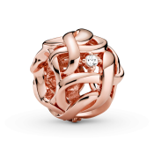 Korálik Pandora Moments