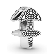 Korálik Pandora Moments