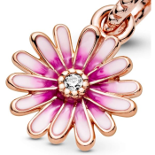 Obesek Pandora Moments