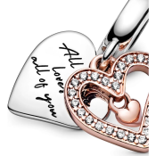 Obesek Pandora Moments