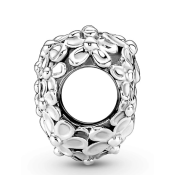 Korálek Pandora Moments