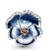 Korálik Pandora Moments