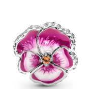 Korálik Pandora Moments