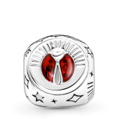 Korálik Pandora Moments