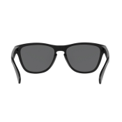 Oakley Frogskins PRIZM Polarized