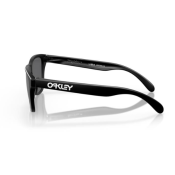 Oakley Frogskins PRIZM Polarized