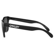 Oakley Frogskins PRIZM