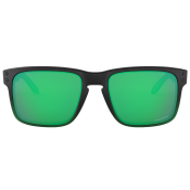 Oakley Holbrook PRIZM