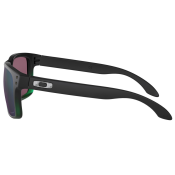 Oakley Holbrook PRIZM