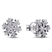 Uhani Pandora Moments