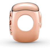 Korálik Pandora Moments